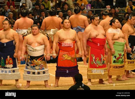 nude sumo wrestler|japanese sumo wrestling naked Search